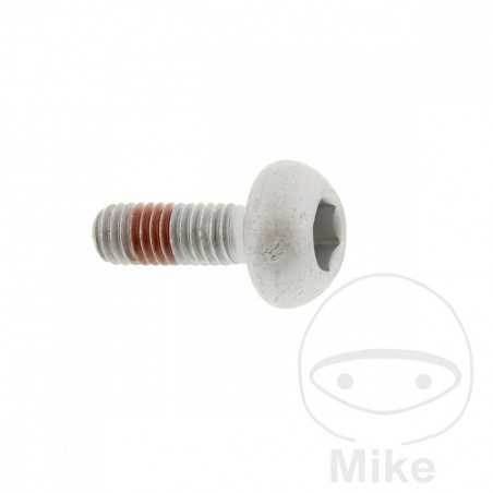 Tornillo para disco de freno OEM M6X1.0X17MM 717.03.19