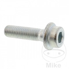 Brake disc screw OEM M8X1.25X30MM 717.03.36