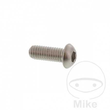 Brake disc screw OEM M6X1.0X16MM 717.03.48
