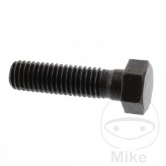 Brake disc screw OEM M8X1.25X30MM 717.03.51