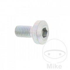 Brake disc screw OEM M8X1.25X17 MM 717.03.61