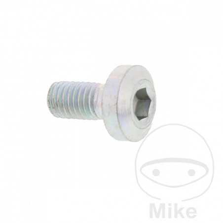 Brake disc screw OEM M8X1.25X17 MM 717.03.61