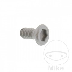 Brake disc screw OEM M6X1.0X14MM 717.03.69