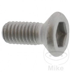 Brake disc screw OEM M6X1.0X11MM 717.03.70