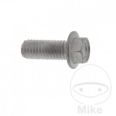 Brake disc screw OEM M8X1.25X22MM 717.03.75