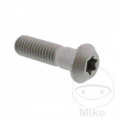 Brake disc screw OEM M8X1.25X28MM 717.03.95