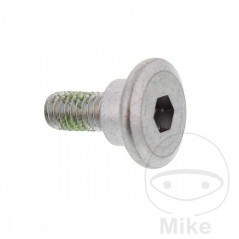Brake disc screw OEM M6X1.0X17MM 717.04.04