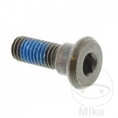 Brake disc screw OEM M8X1.25X24MM 717.04.28