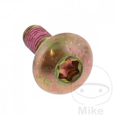 Brake disc screw OEM M6X1.0X18MM 717.04.31