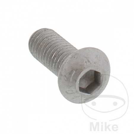 Brake disc screw OEM M8X1.25X20 MM 717.04.61