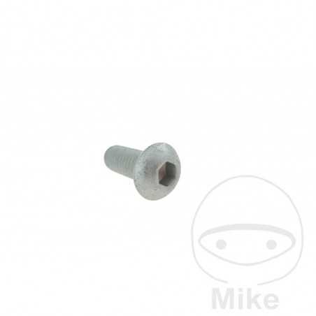 Brake disc screw OEM M8X1.25X20 MM 717.04.88
