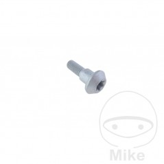 Brake disc screw OEM M6X1.0 20 MM 717.05.19