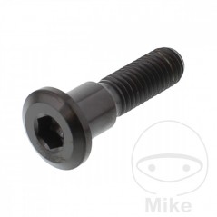 JMP Brake disc screw M8X1.25 MM 33 TITAN 717.07.53