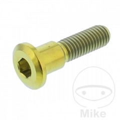 JMP Brake disc screw M8X1.25 MM 33 TITAN 717.07.54