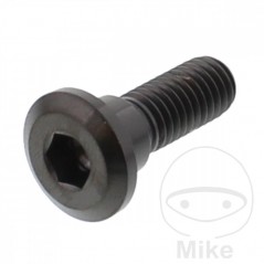 JMP Brake disc screw M8X1.25 MM 24 TITAN 717.07.60