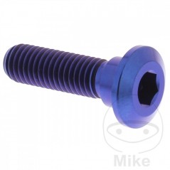 JMP Brake disc screw M8X1.25 MM 30 TITAN 717.07.66