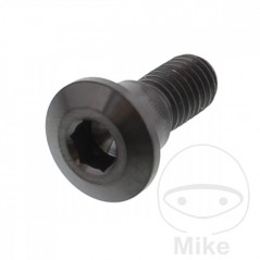JMP Brake disc screw M8X1.25 MM 22 TITAN 717.07.81