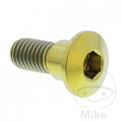 JMP Brake disc screw M8X1.25 MM 22 TITAN 717.07.82