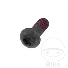 Brake disc screw M8X1.25 25 MM 717.16.61