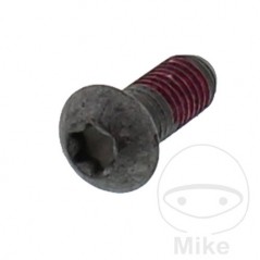 Brake disc screw M8X1.25 20 MM 717.16.62