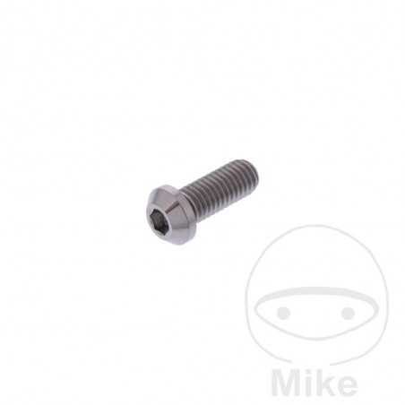 JMP Brake disc screw M8X1.25 20 MM TITAN 775.42.79