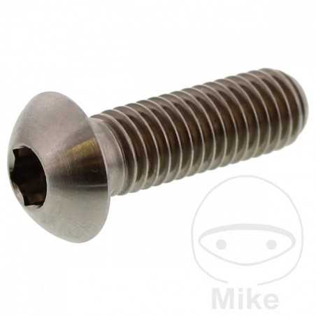 JMP Brake disc screw M8X1.25 MM 25 TITAN 775.86.32