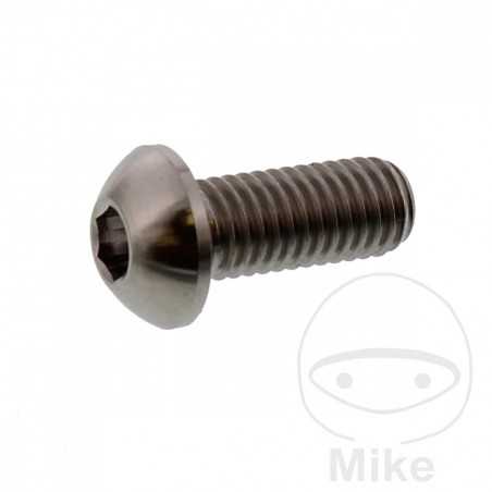 JMP Brake disc screw M8X1.25 MM 20 TITAN 775.86.35