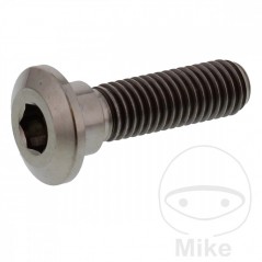 JMP Brake disc screw M8X1.25 MM 30 TITAN 775.86.41
