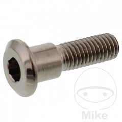 JMP Brake disc screw M8X1.25 MM 30 TITAN 775.86.43