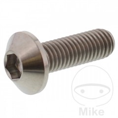 JMP Brake disc screw M8X1.25 MM 25 TITAN 775.86.45
