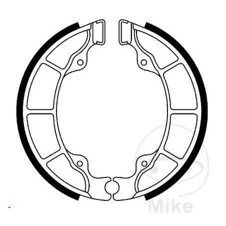 TRW brake shoes without spring ALTN: 7325053 786.07.03