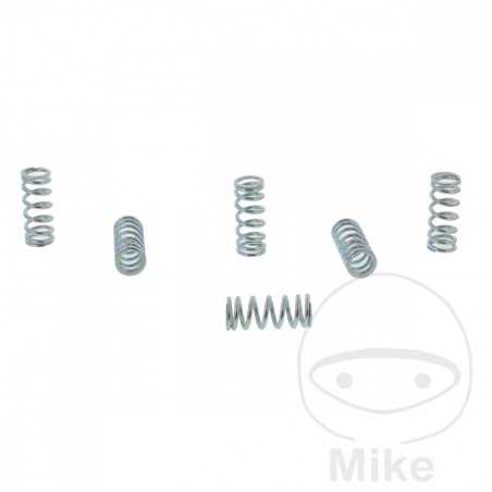 TRW Kit 6 reinforced clutch springs 738.00.56