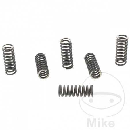 TRW Kit 6 reinforced clutch springs 738.00.68