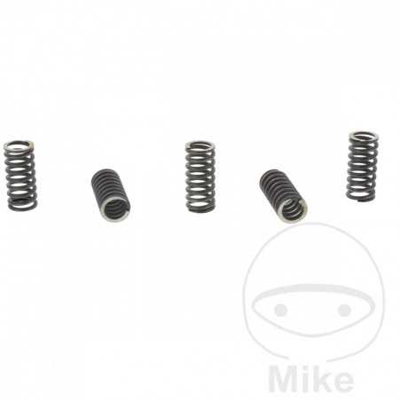 TRW Kit 5 reinforced clutch springs 738.00.69