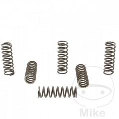 TRW Kit 6 muelles de embrague reforzados 738.00.73