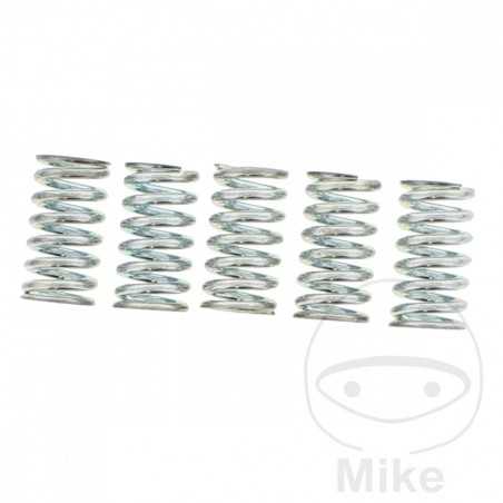 TRW Kit 5 reinforced clutch springs 738.03.57
