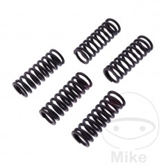 TRW Kit 5 reinforced clutch springs 738.05.29