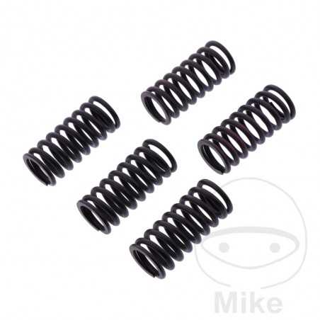 TRW Kit 5 reinforced clutch springs 738.05.30