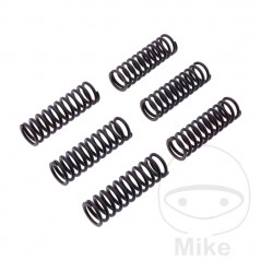 TRW Kit 6 reinforced clutch springs 738.05.54