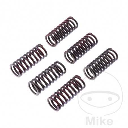 TRW Kit 6 muelles de embrague reforzados 738.06.13