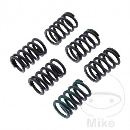 TRW Kit 6 reinforced clutch springs 738.06.15