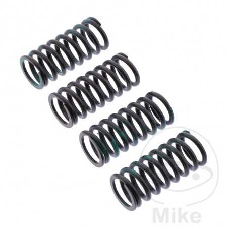 TRW Kit of 4 reinforced clutch springs 738.06.20
