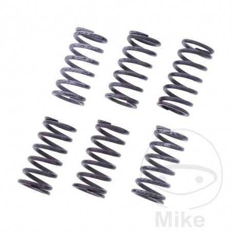 TRW Kit 6 reinforced clutch springs 738.07.64