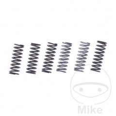 TRW Kit 6 reinforced clutch springs 738.07.65