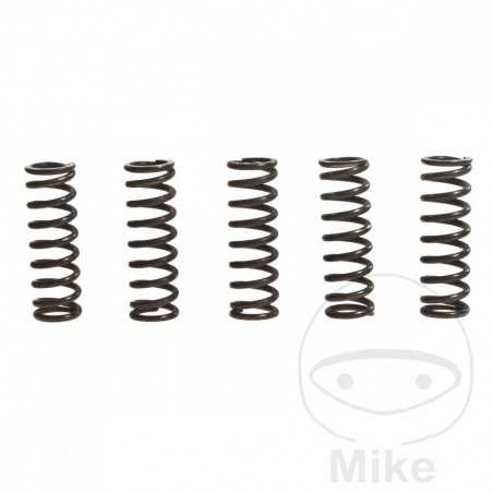 TRW Kit 5 reinforced clutch springs 738.71.37