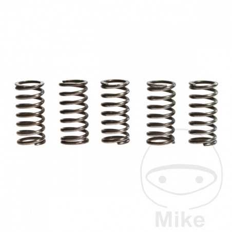 TRW Kit 5 reinforced clutch springs 738.71.45