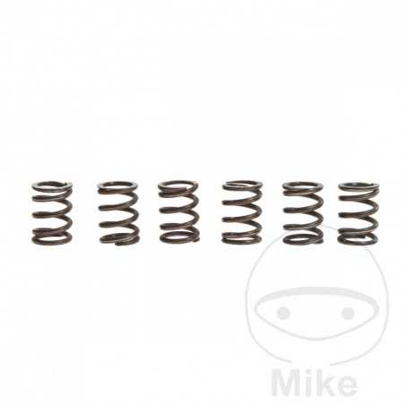 TRW Kit 6 reinforced clutch springs 738.71.86