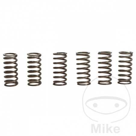 TRW Kit 6 reinforced clutch springs 738.72.36