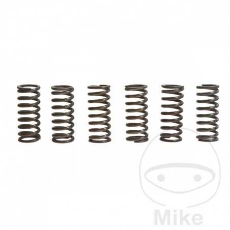 TRW Kit 6 reinforced clutch springs 738.72.51