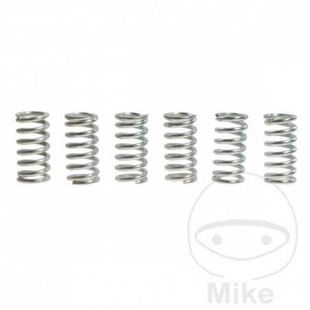 TRW Kit 6 reinforced clutch springs 738.87.05